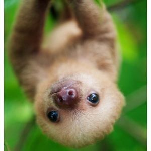 Meet your Posher, Kirsten